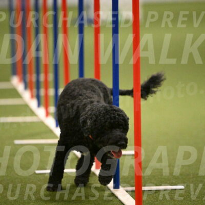 Nixie-Stacie-Rosenburg-00484