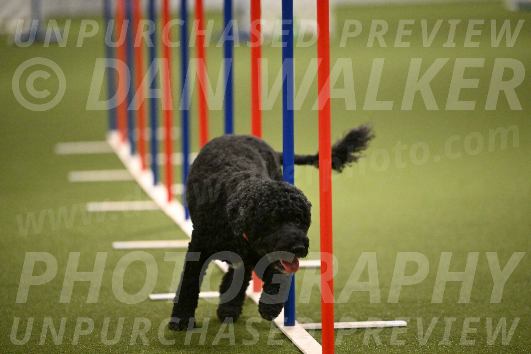 Nixie-Stacie-Rosenburg-00484