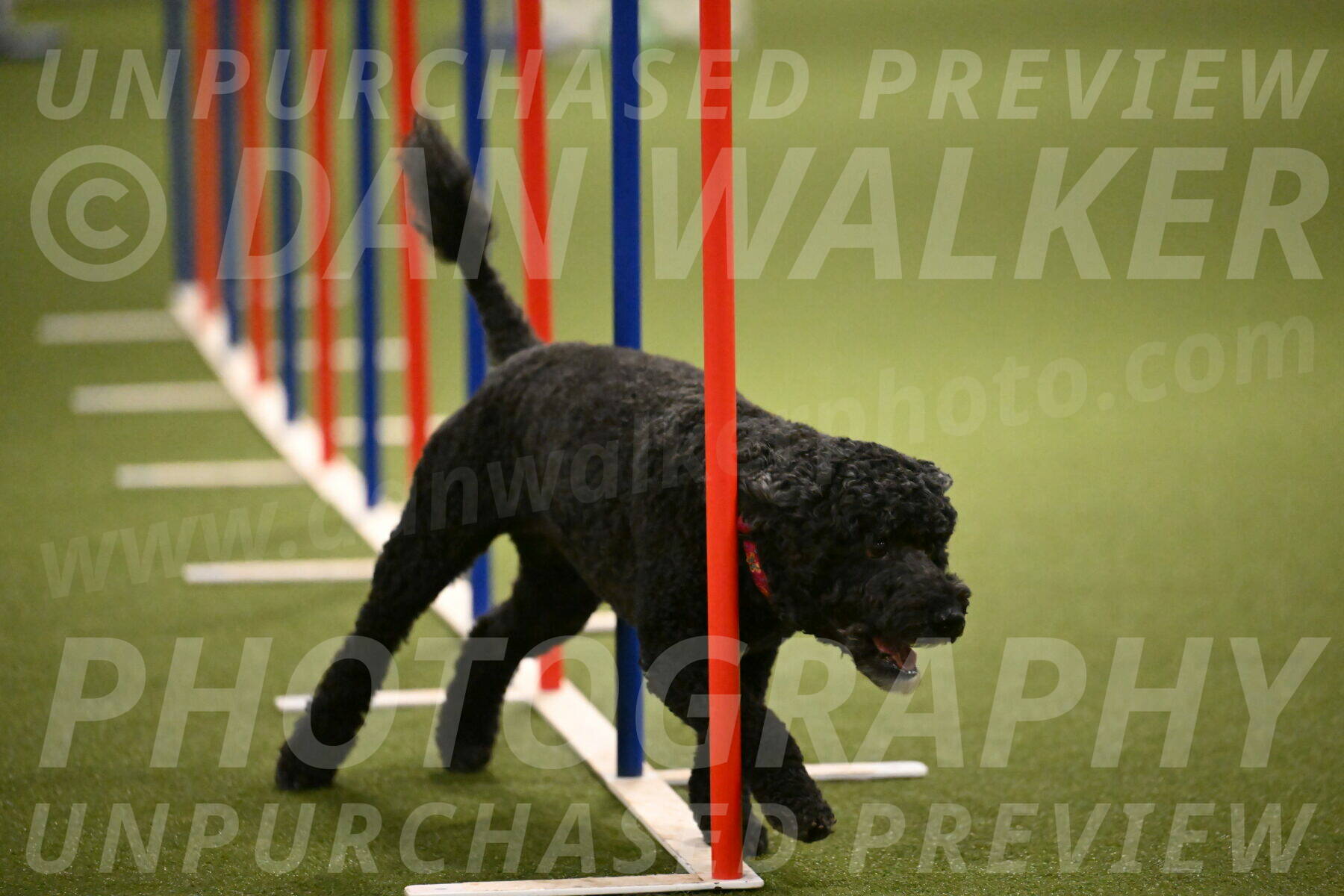 Nixie-Stacie-Rosenburg-00485