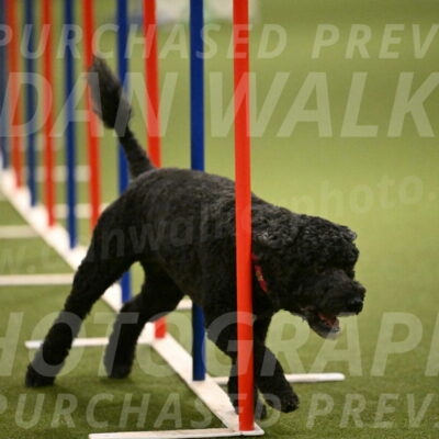 Nixie-Stacie-Rosenburg-00485