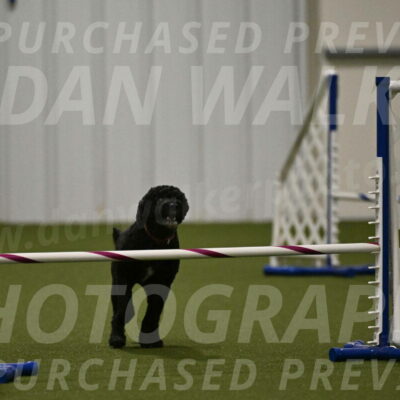 Nixie-Stacie-Rosenburg-00486