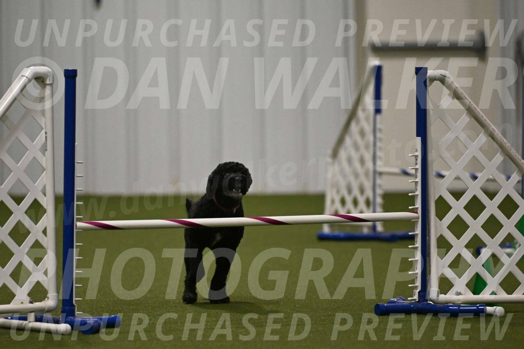 Nixie-Stacie-Rosenburg-00486