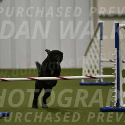 Nixie-Stacie-Rosenburg-00487