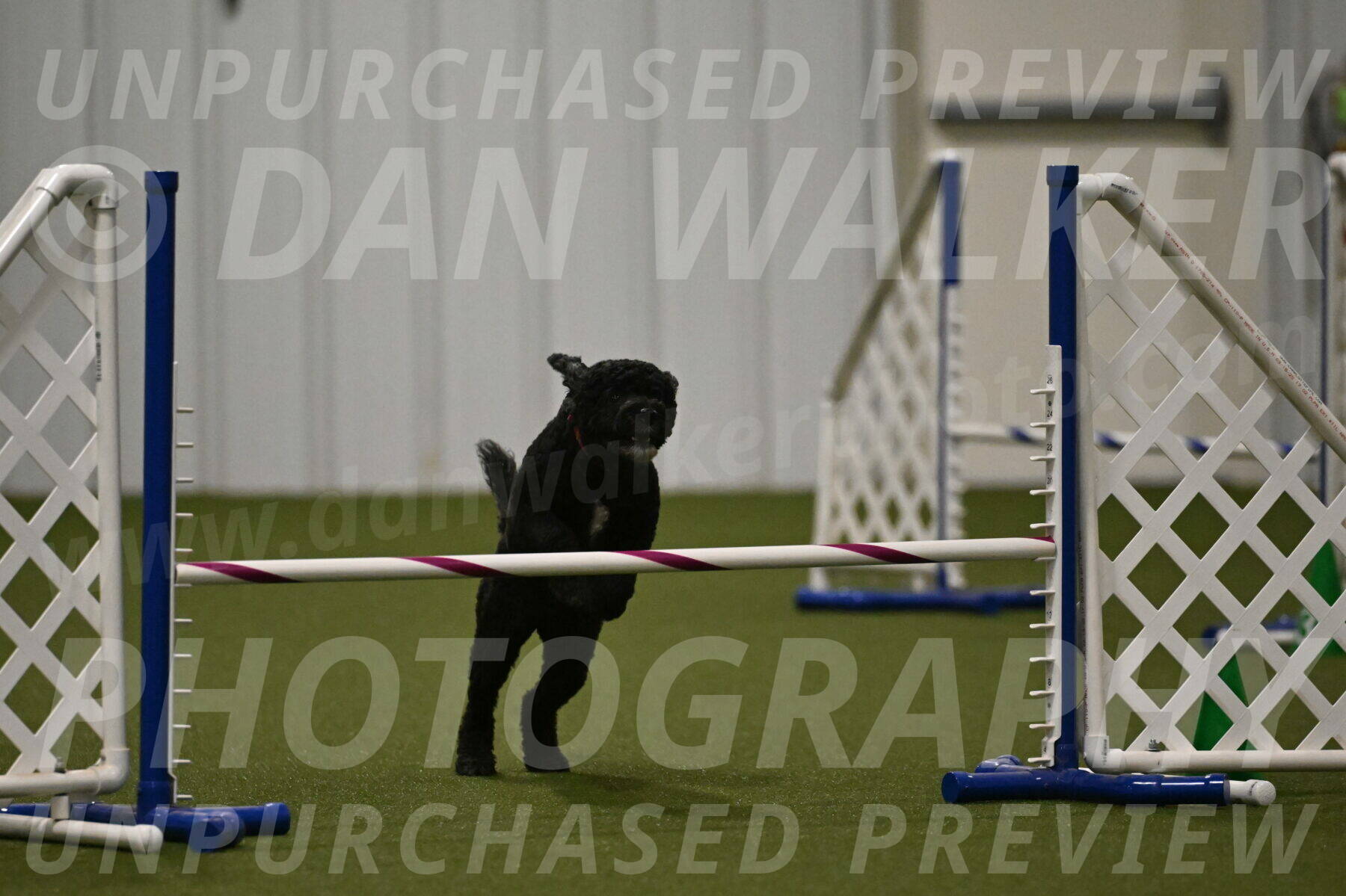 Nixie-Stacie-Rosenburg-00487