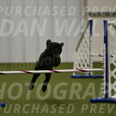 Nixie-Stacie-Rosenburg-00488