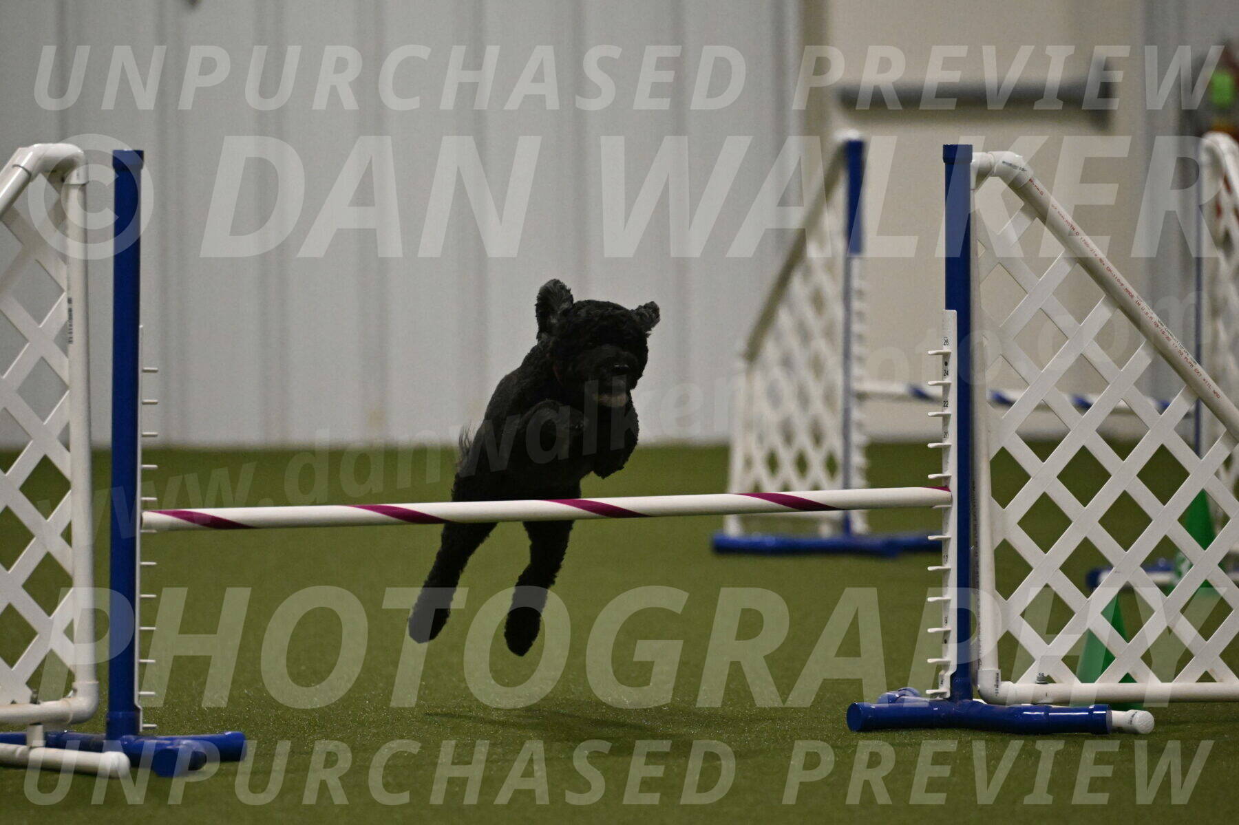 Nixie-Stacie-Rosenburg-00488