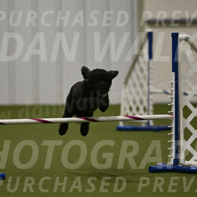 Nixie-Stacie-Rosenburg-00489