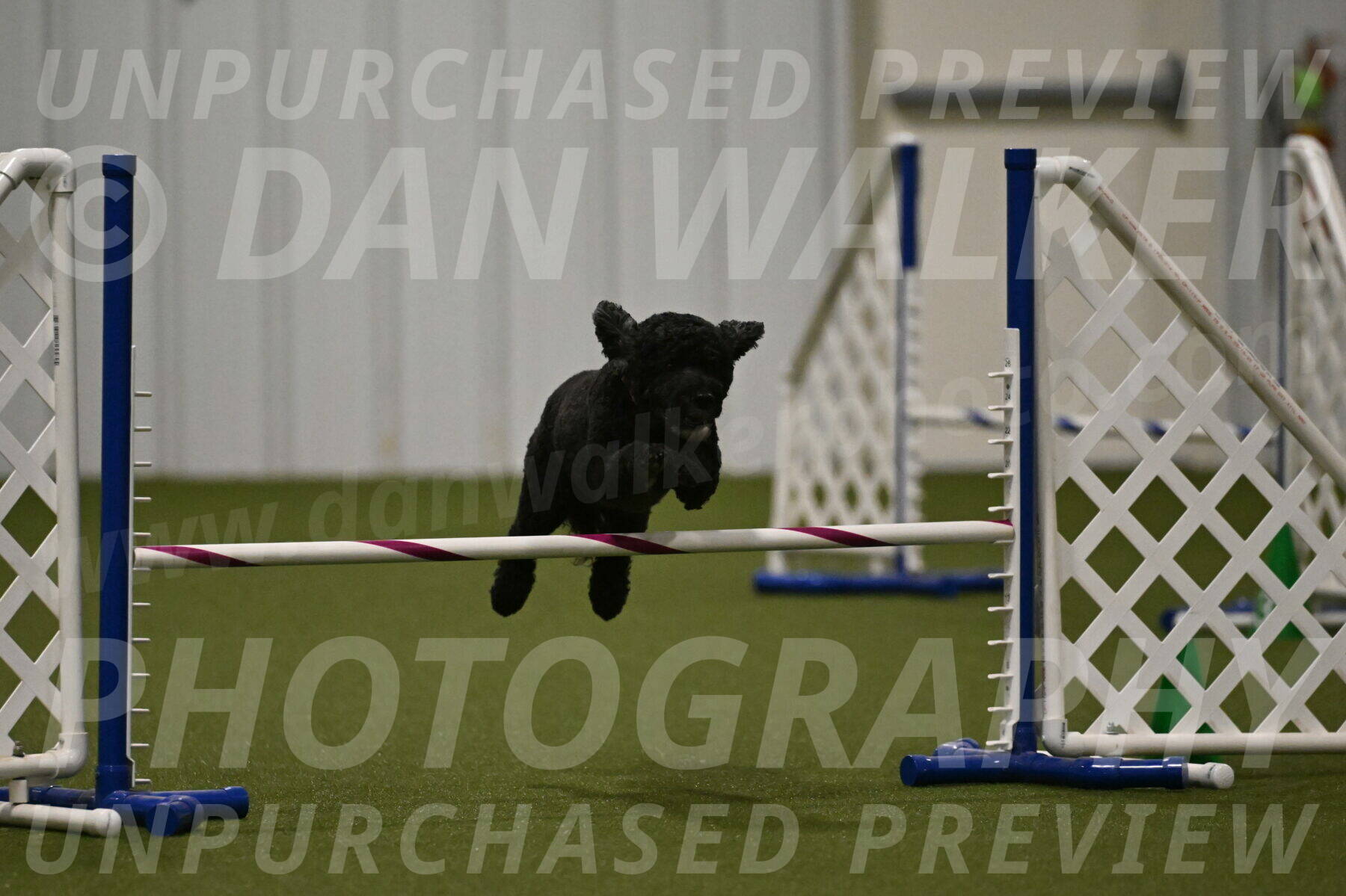 Nixie-Stacie-Rosenburg-00489