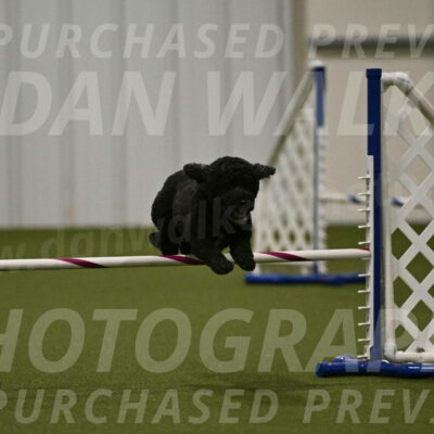 Nixie-Stacie-Rosenburg-00490