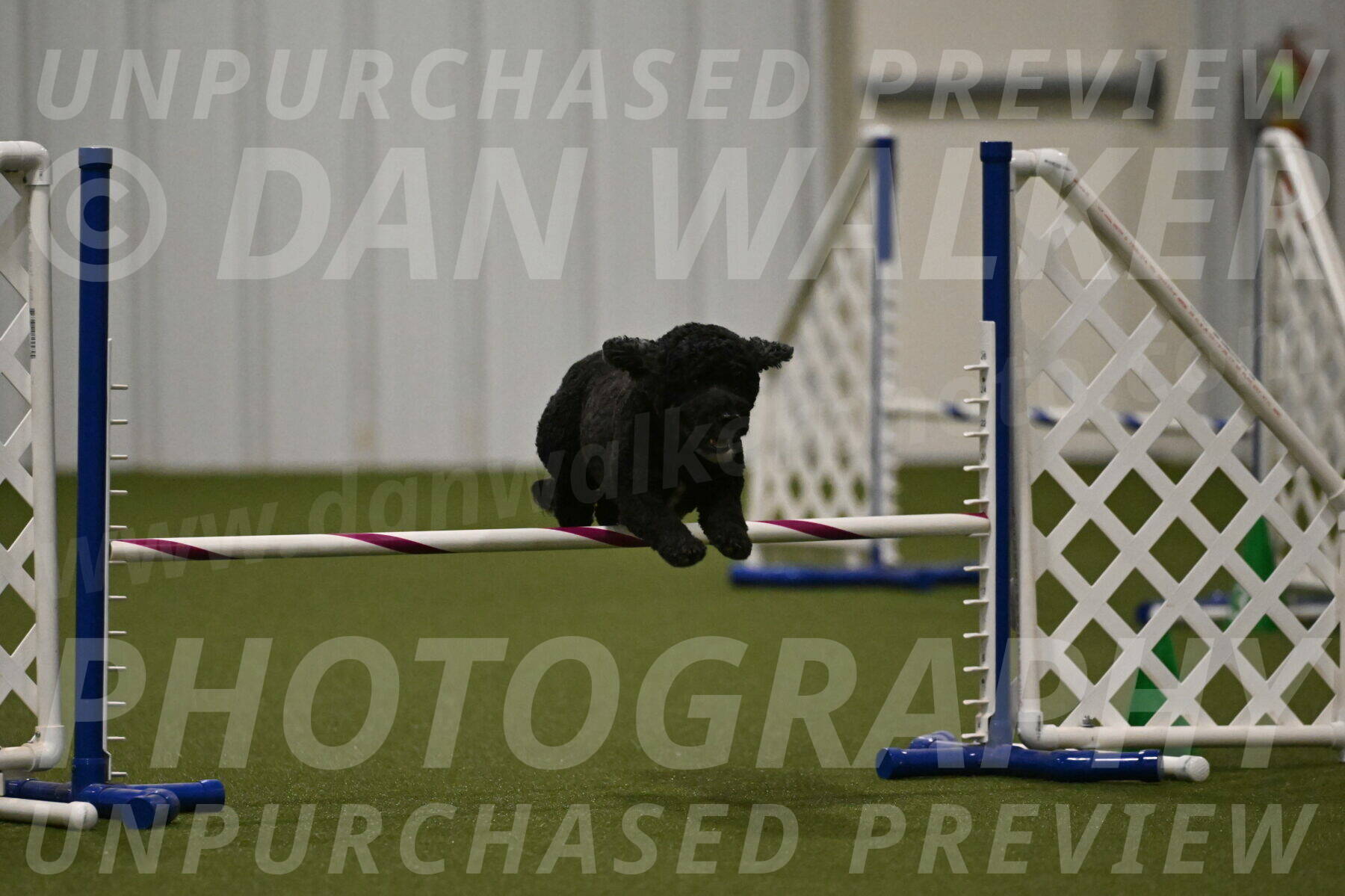 Nixie-Stacie-Rosenburg-00490