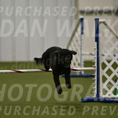 Nixie-Stacie-Rosenburg-00491