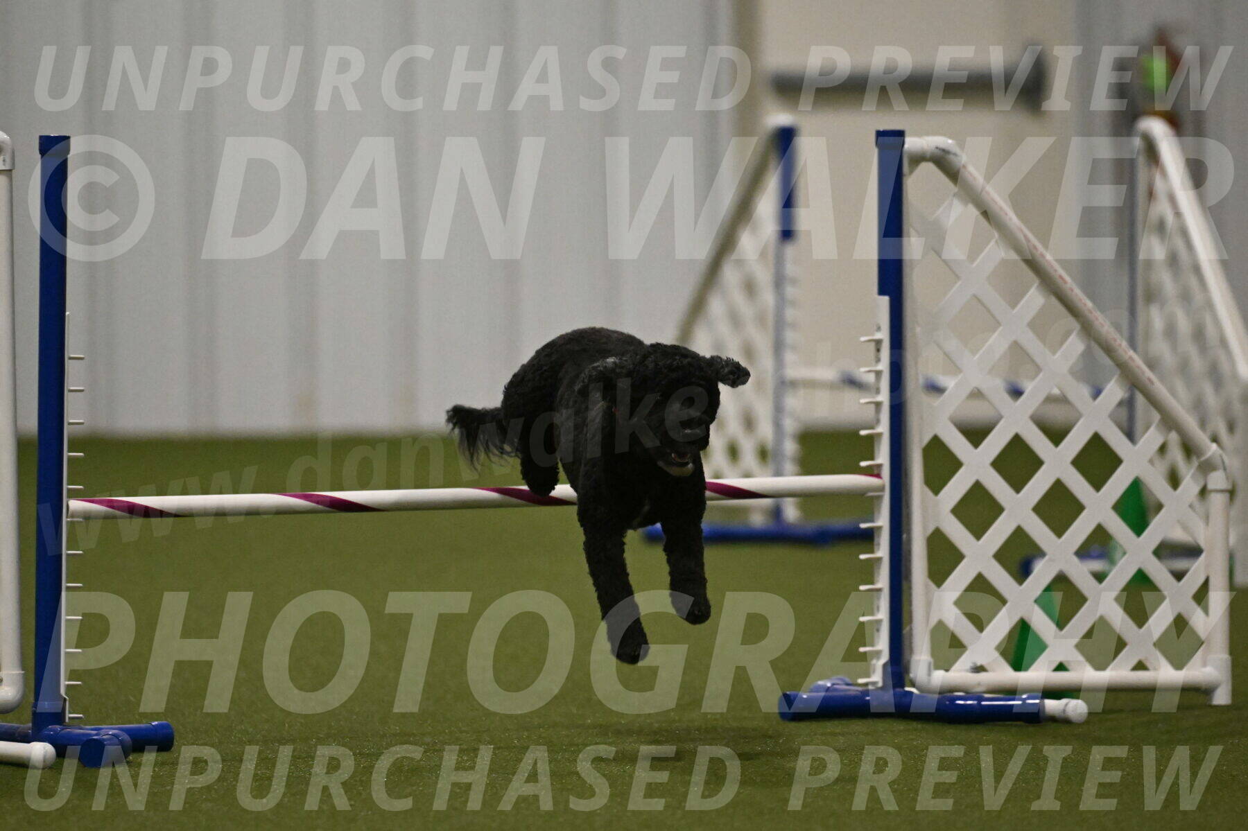 Nixie-Stacie-Rosenburg-00491