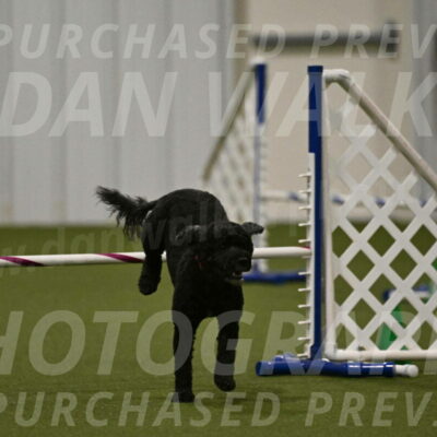 Nixie-Stacie-Rosenburg-00492