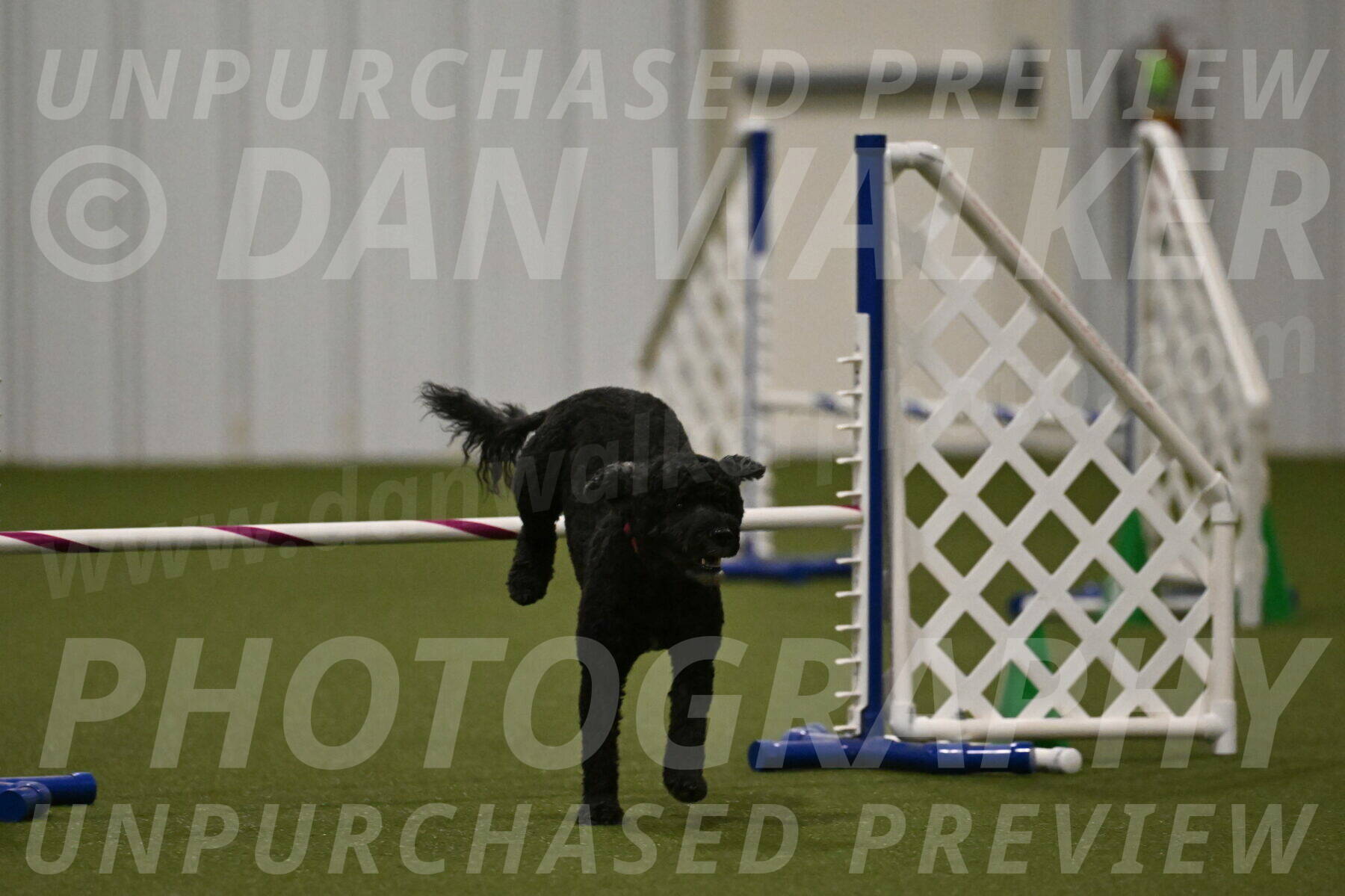 Nixie-Stacie-Rosenburg-00492