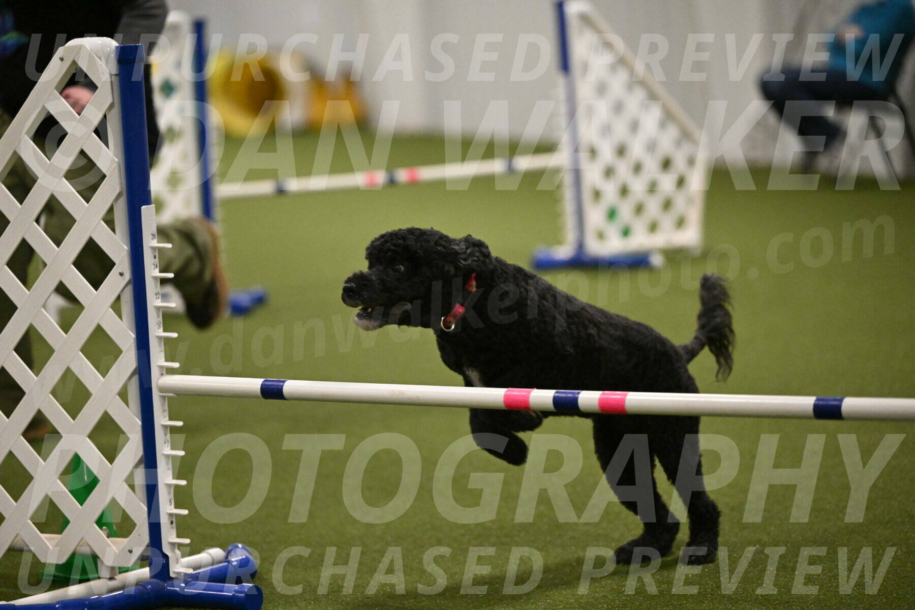 Nixie-Stacie-Rosenburg-00493