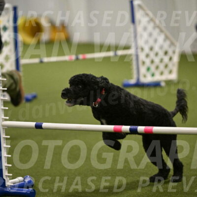 Nixie-Stacie-Rosenburg-00493