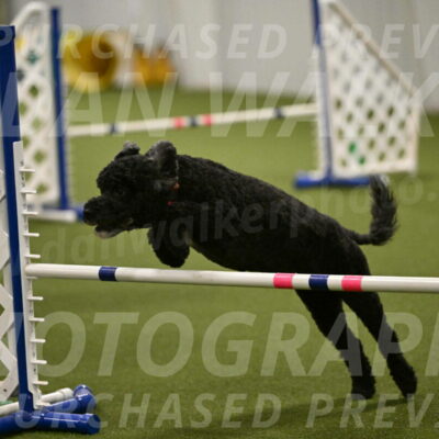 Nixie-Stacie-Rosenburg-00494