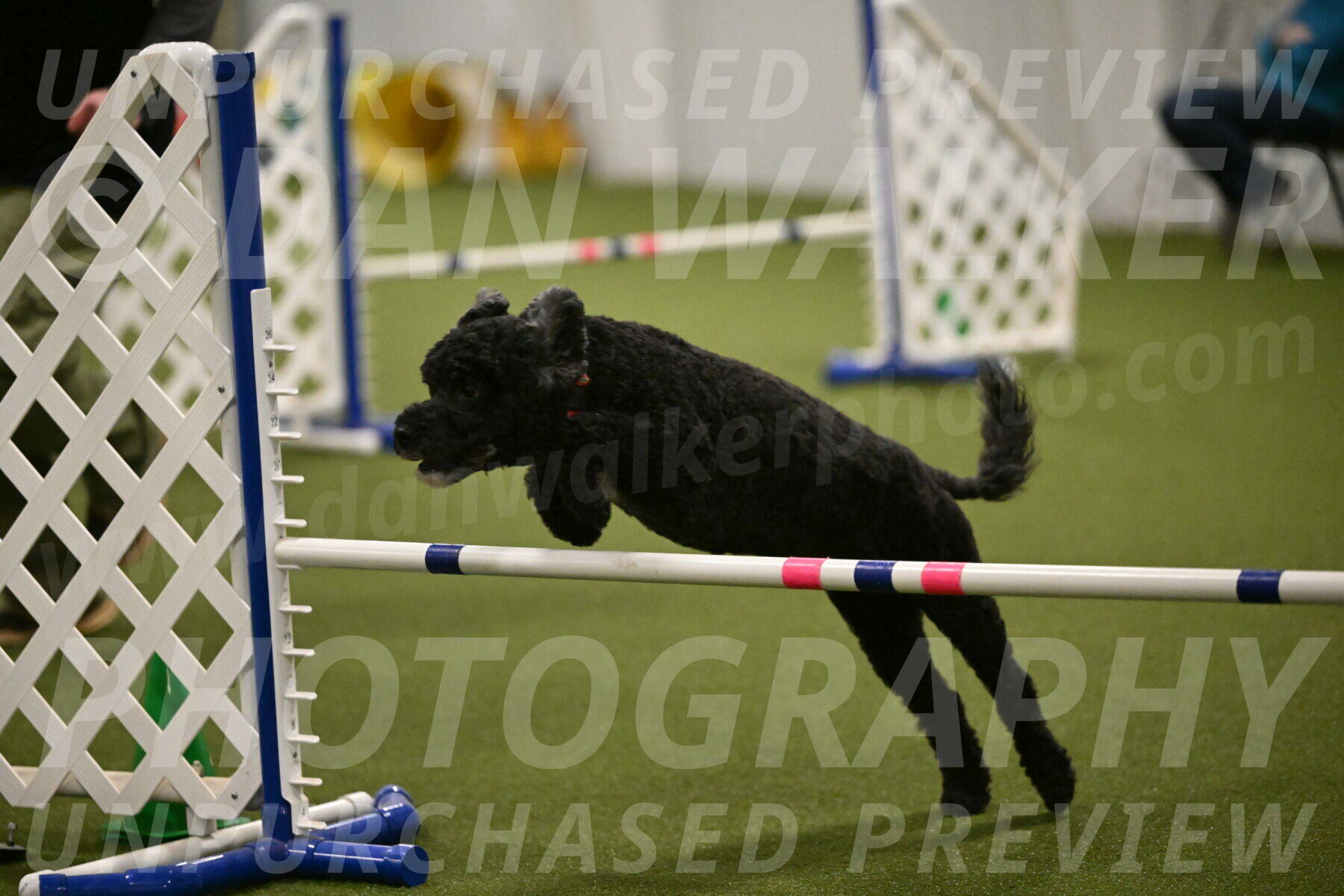 Nixie-Stacie-Rosenburg-00494