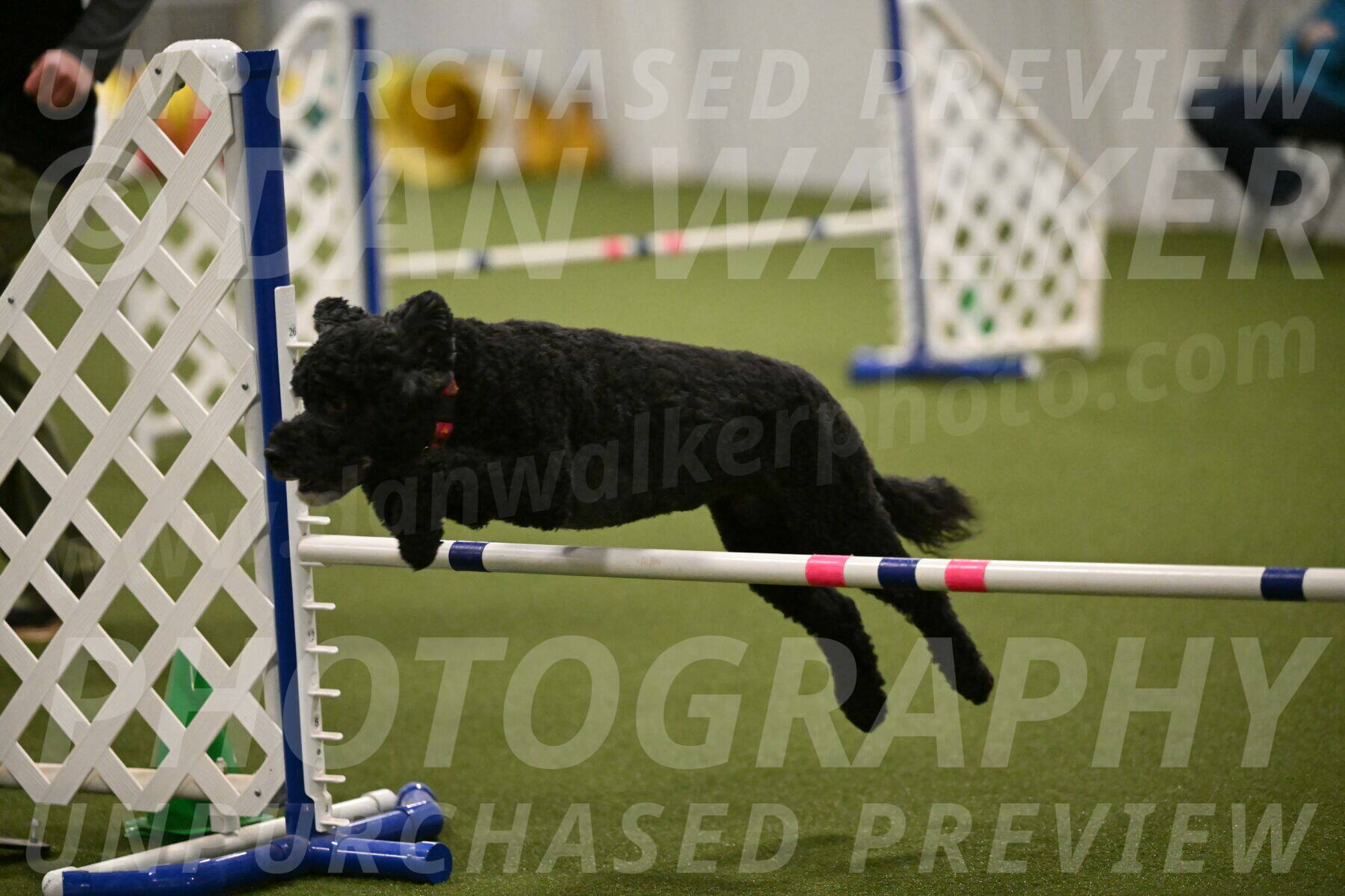 Nixie-Stacie-Rosenburg-00495