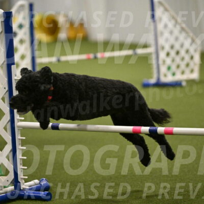 Nixie-Stacie-Rosenburg-00495