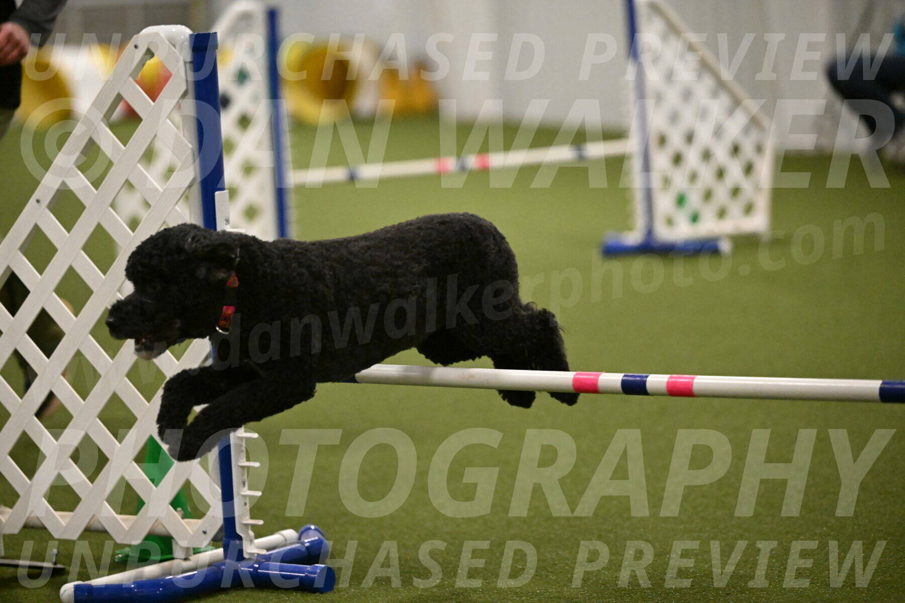 Nixie-Stacie-Rosenburg-00496