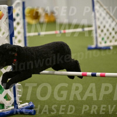 Nixie-Stacie-Rosenburg-00496