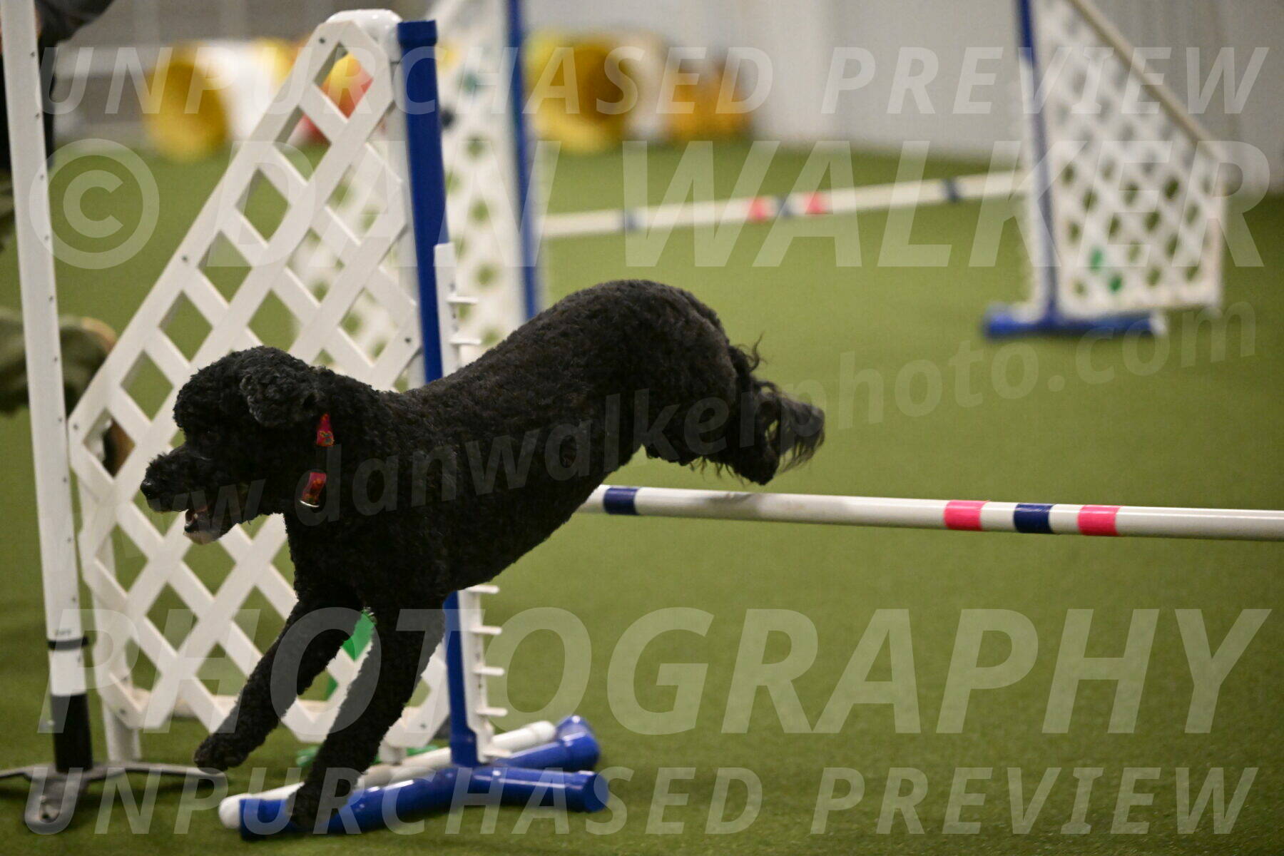 Nixie-Stacie-Rosenburg-00497