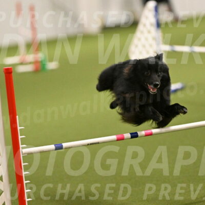 Okos-Stacie-Rosenburg-04230