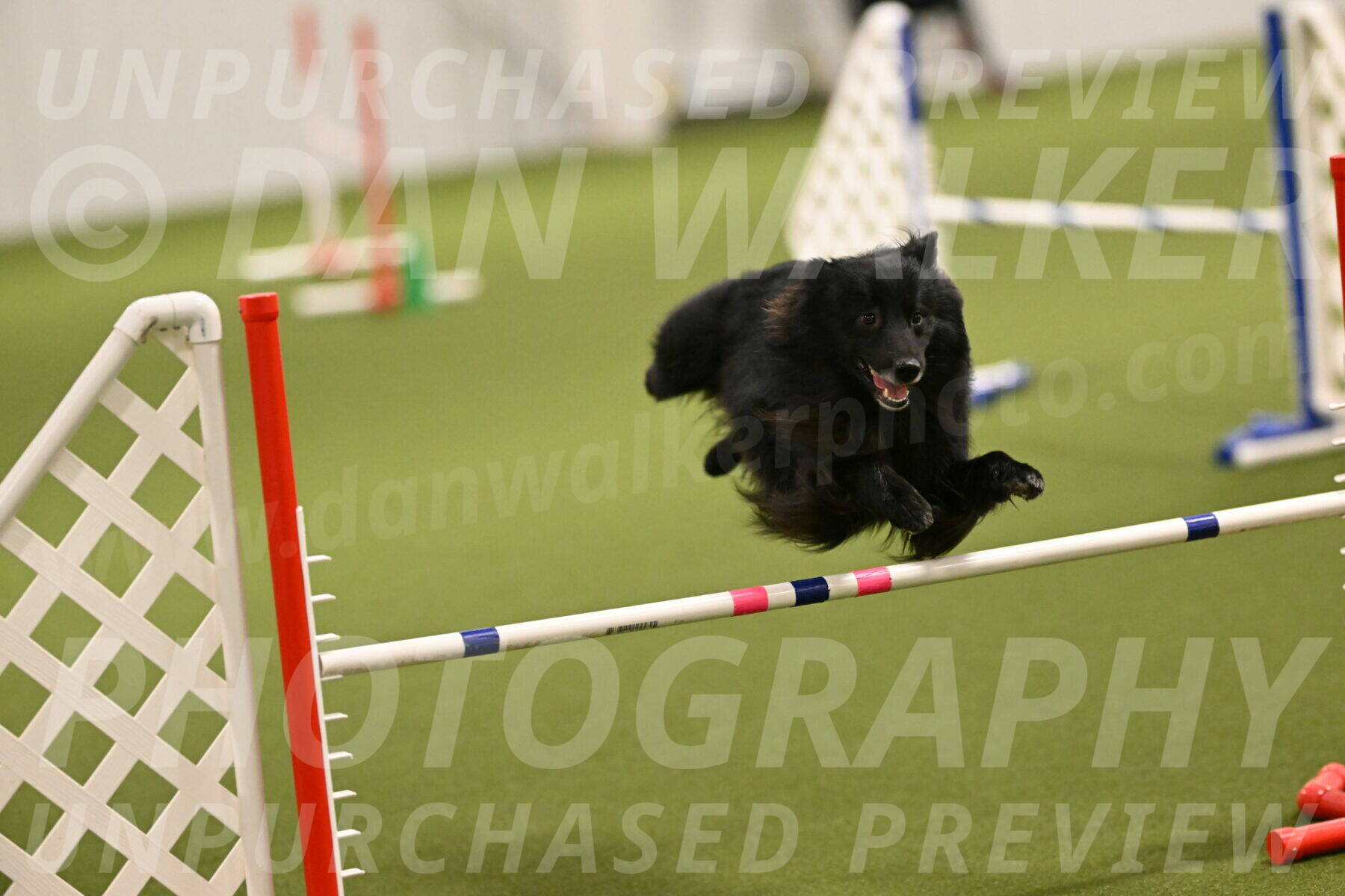 Okos-Stacie-Rosenburg-04230