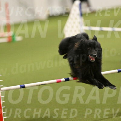 Okos-Stacie-Rosenburg-04231