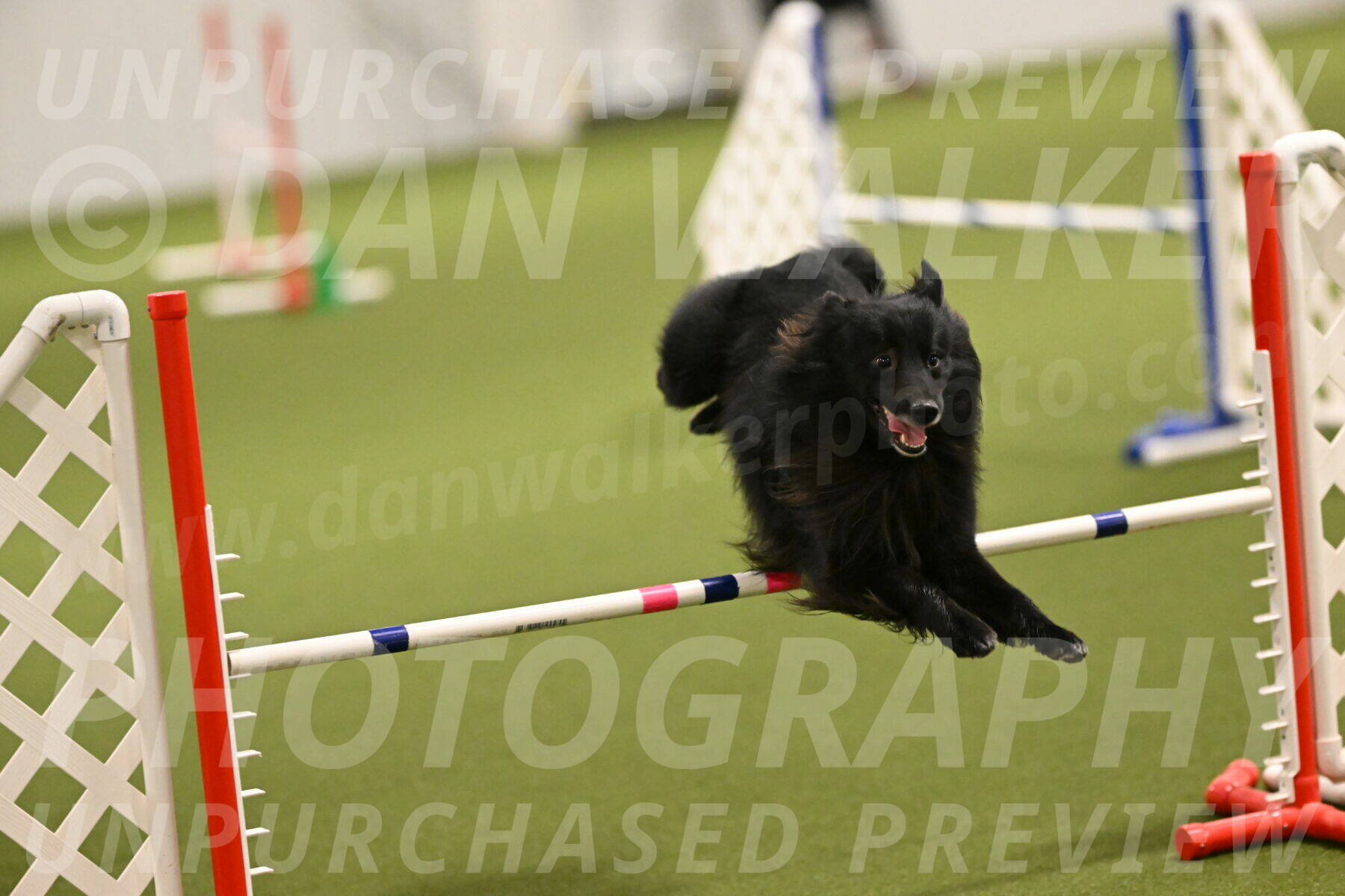 Okos-Stacie-Rosenburg-04231