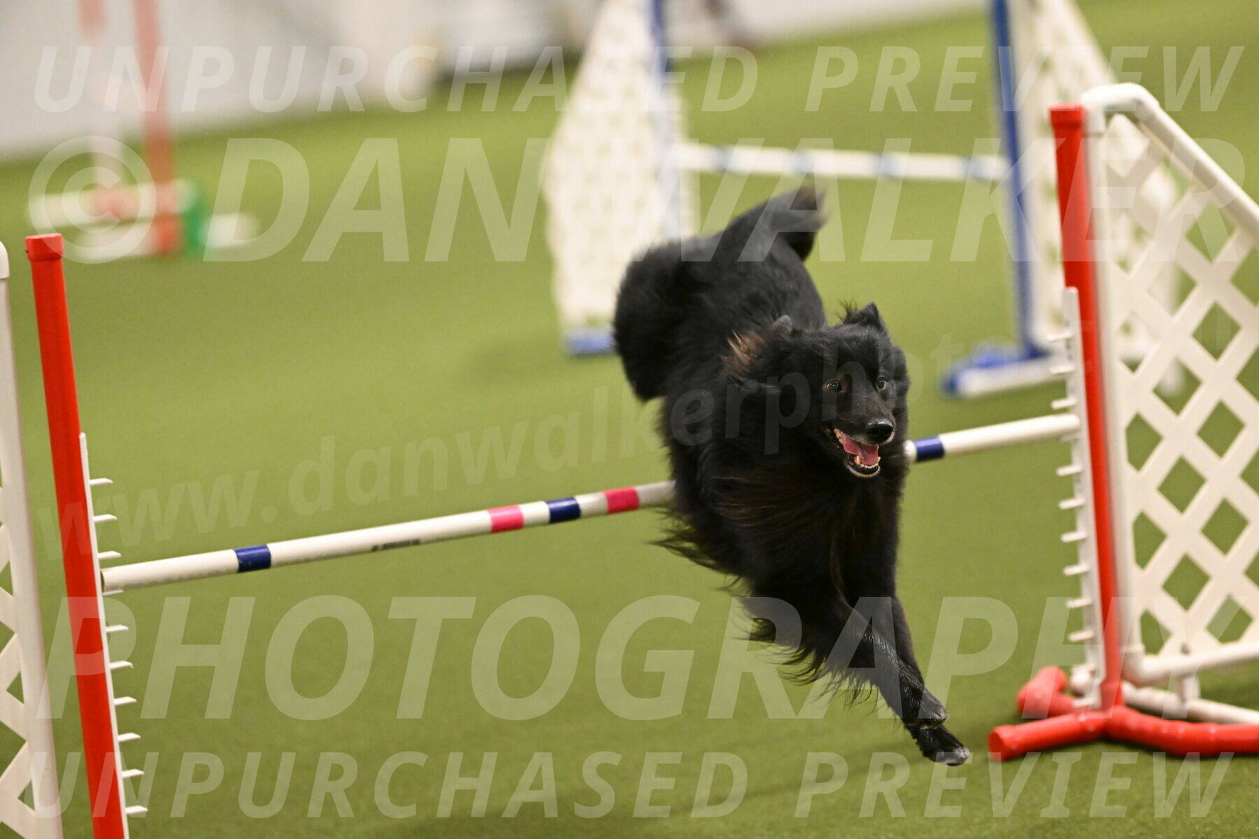 Okos-Stacie-Rosenburg-04232