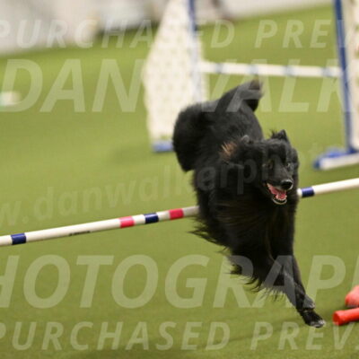 Okos-Stacie-Rosenburg-04232