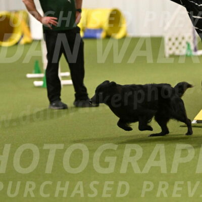 Okos-Stacie-Rosenburg-04234