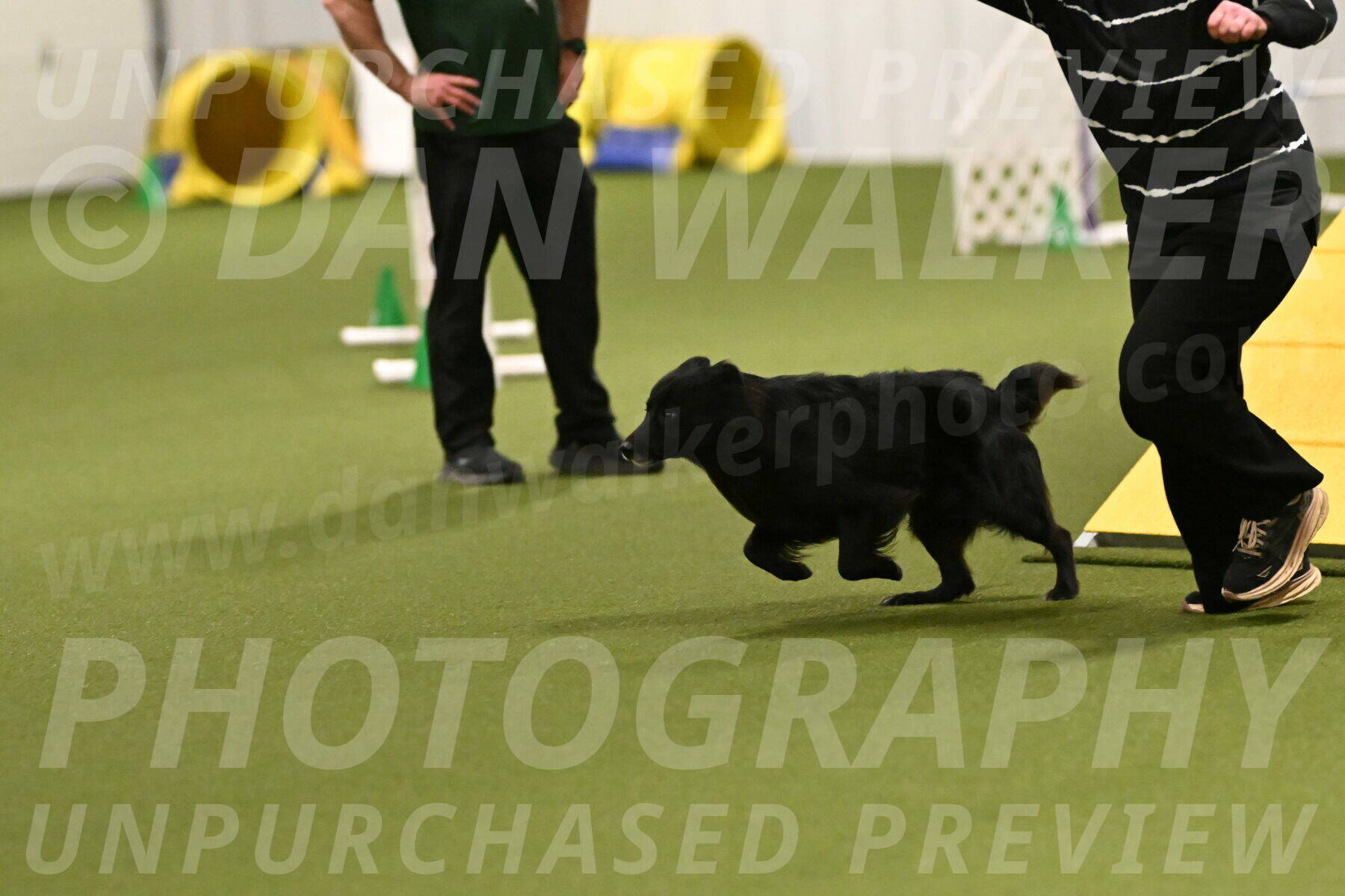 Okos-Stacie-Rosenburg-04234