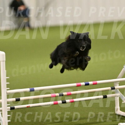 Okos-Stacie-Rosenburg-04235