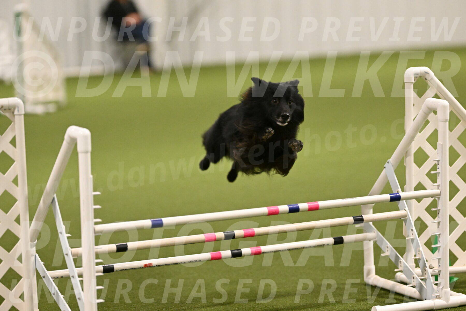 Okos-Stacie-Rosenburg-04235