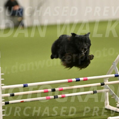 Okos-Stacie-Rosenburg-04236