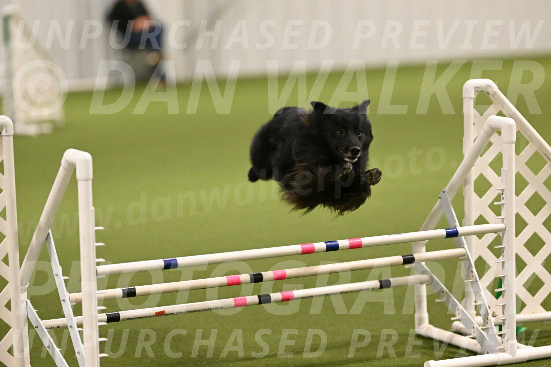 Okos-Stacie-Rosenburg-04236