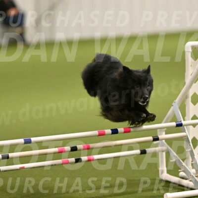 Okos-Stacie-Rosenburg-04237