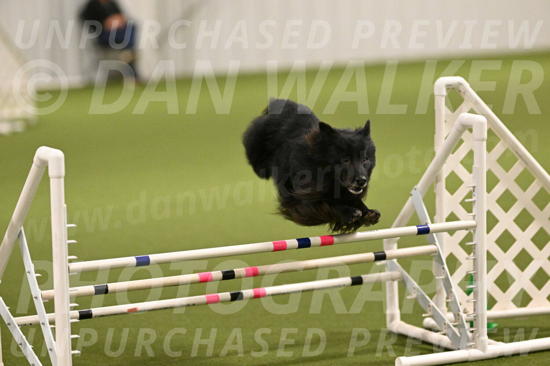 Okos-Stacie-Rosenburg-04237