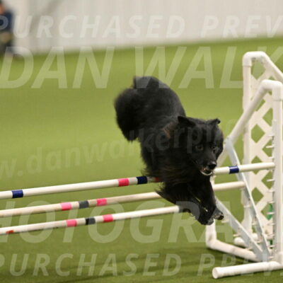 Okos-Stacie-Rosenburg-04238