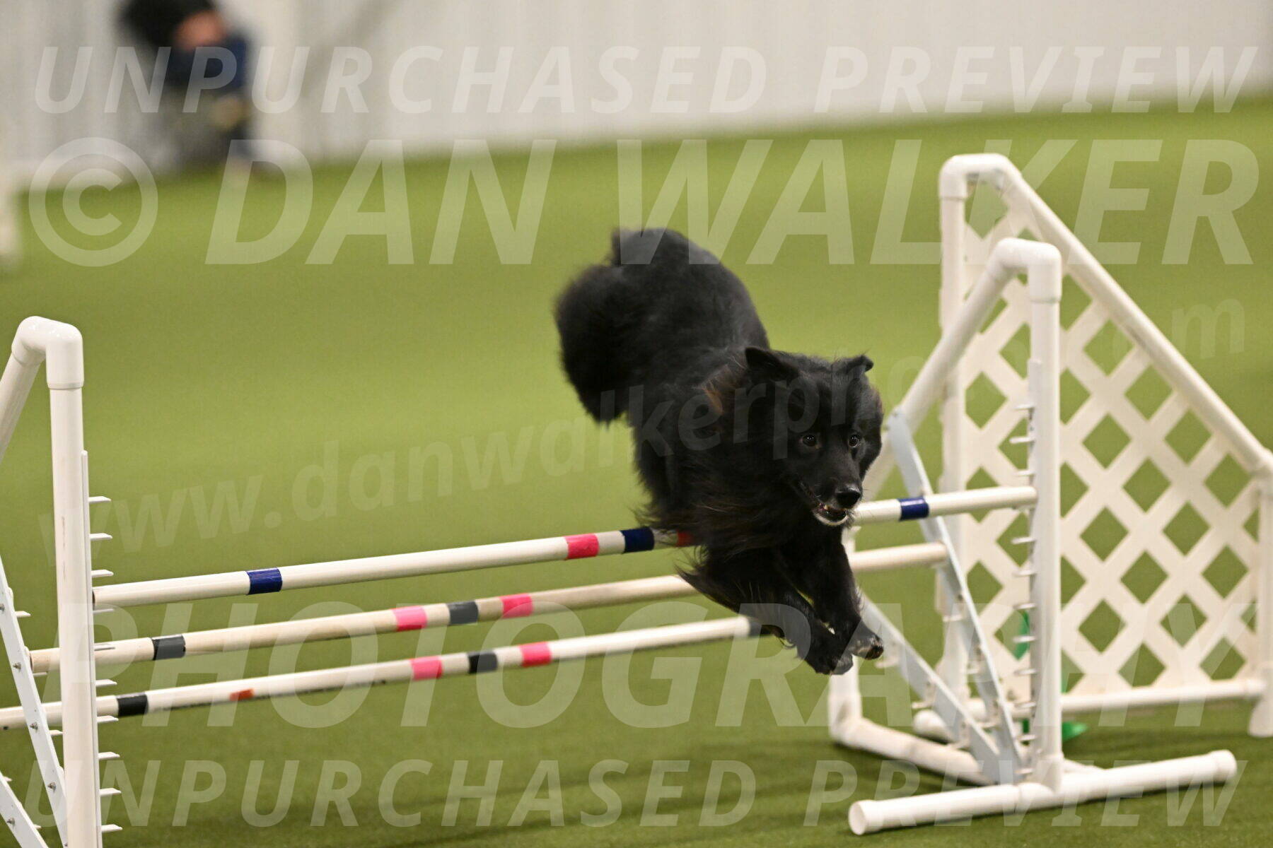 Okos-Stacie-Rosenburg-04238