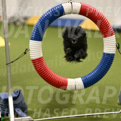 Okos-Stacie-Rosenburg-04240