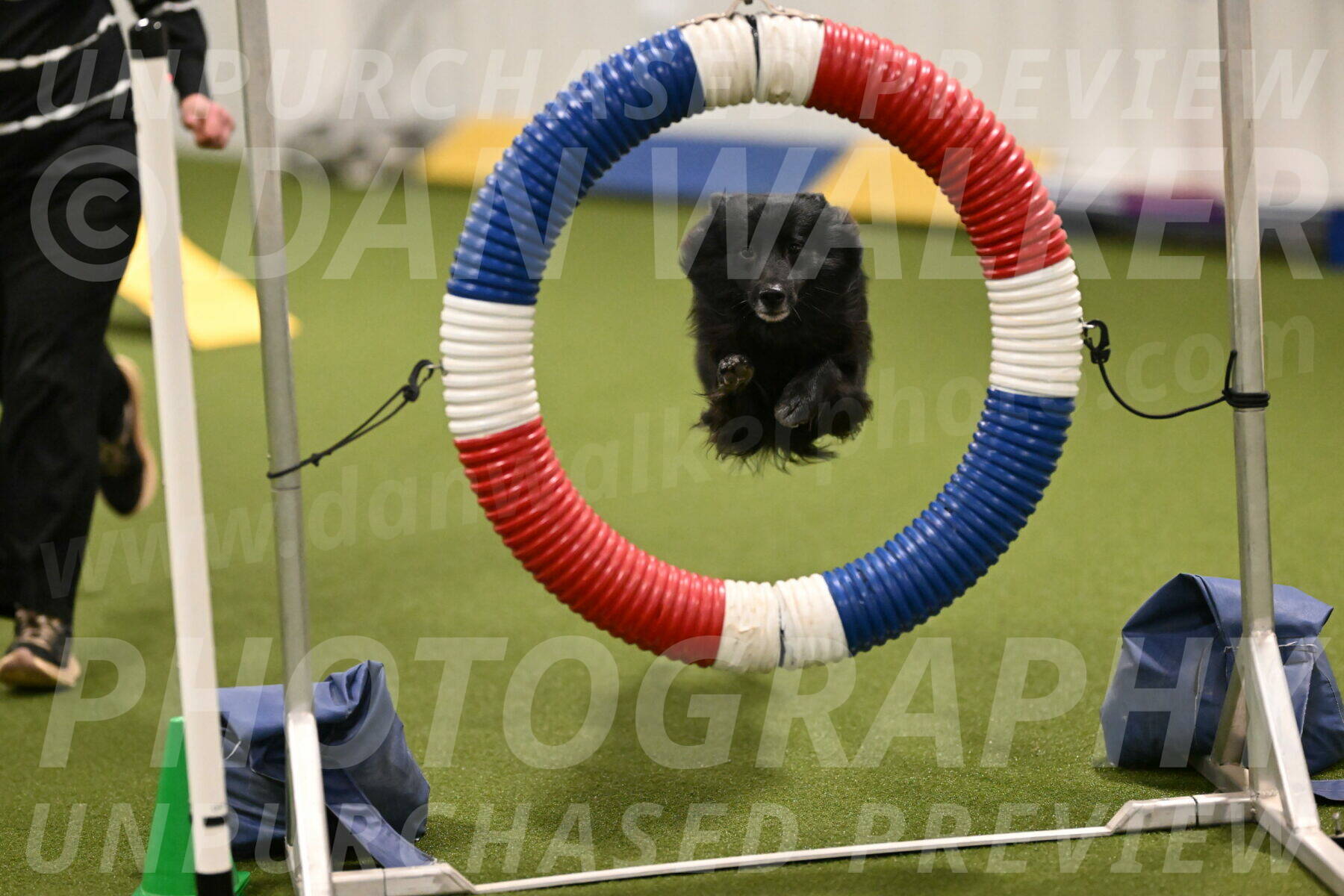 Okos-Stacie-Rosenburg-04240