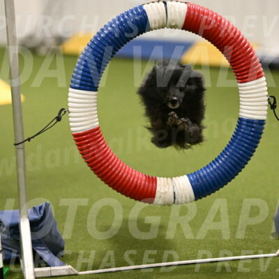 Okos-Stacie-Rosenburg-04241