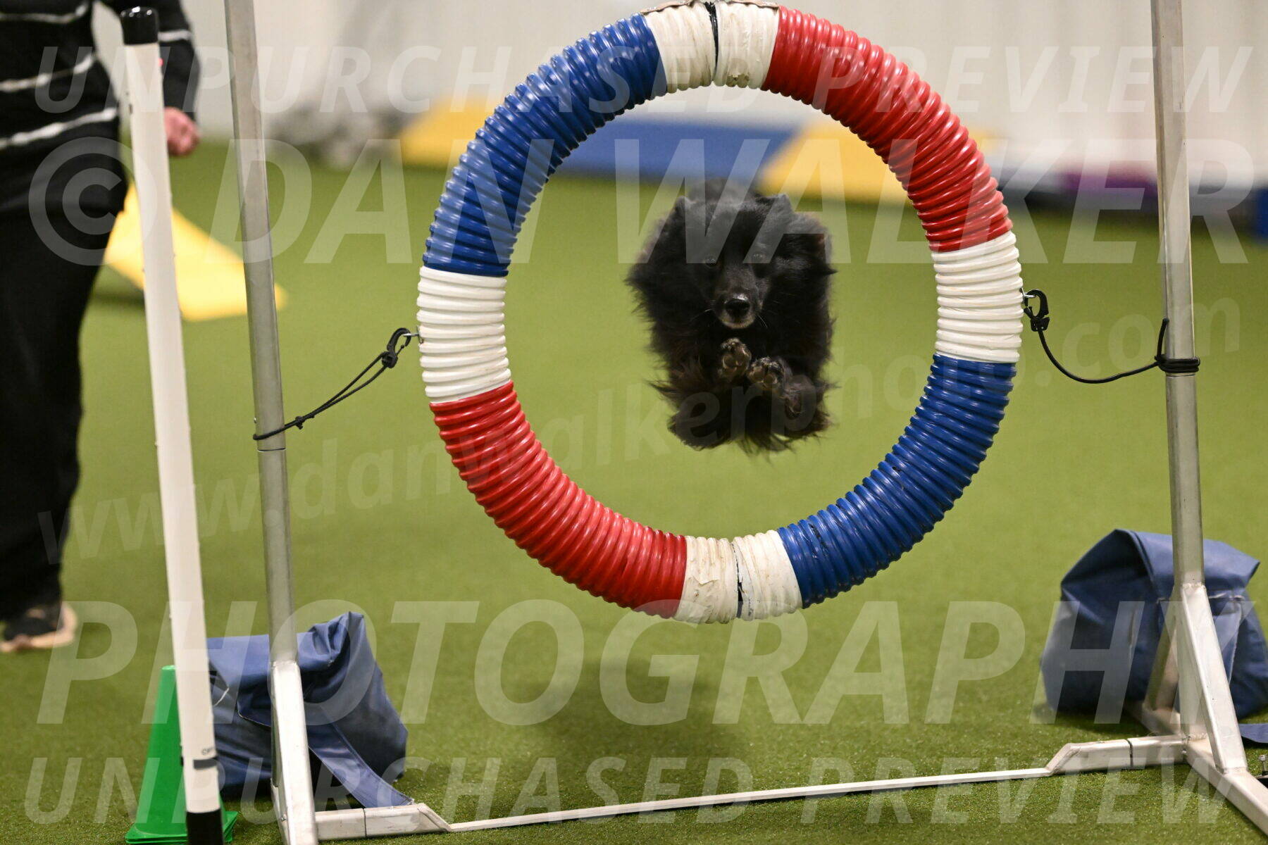 Okos-Stacie-Rosenburg-04241