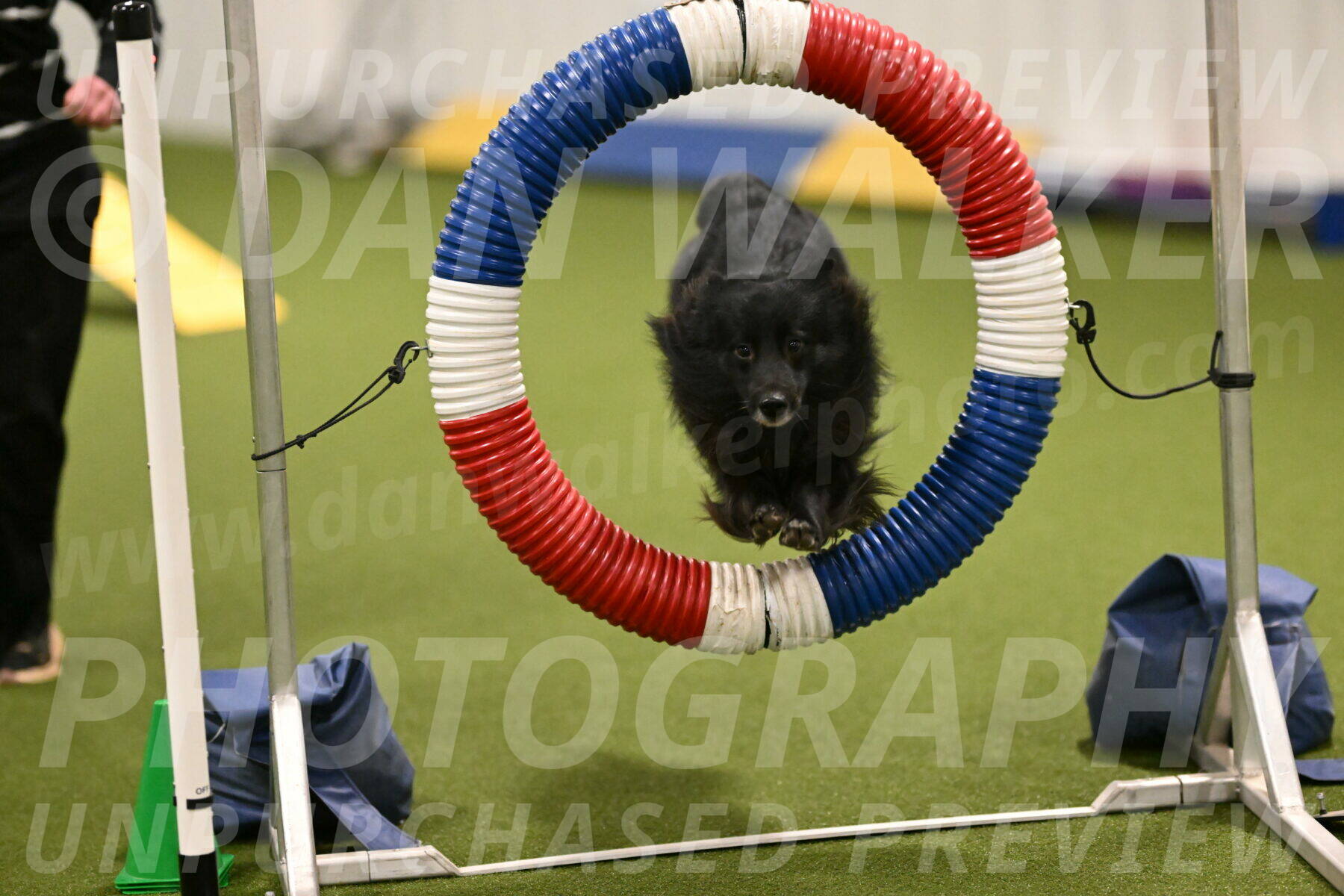 Okos-Stacie-Rosenburg-04242