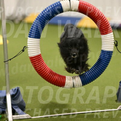 Okos-Stacie-Rosenburg-04242