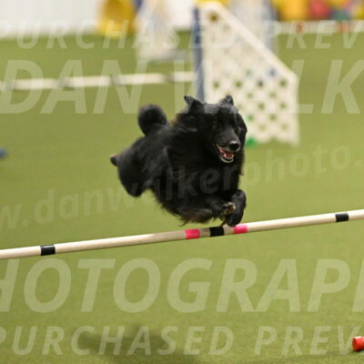 Okos-Stacie-Rosenburg-04243